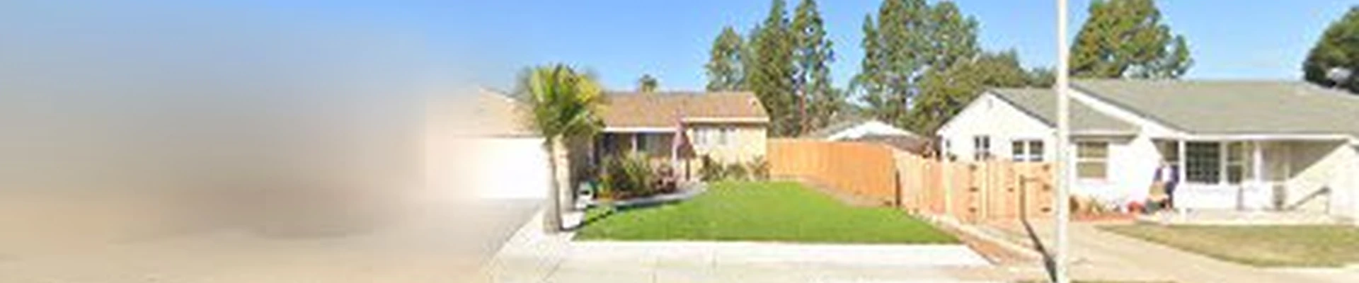 Major Trees of San Diego