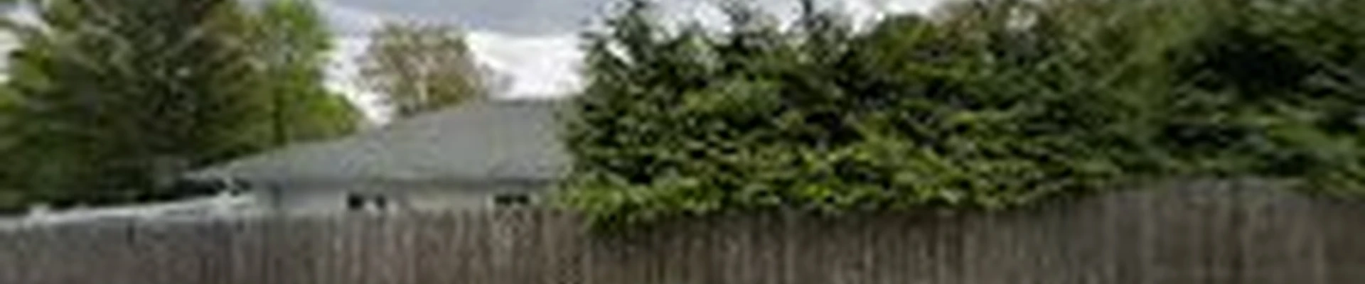 WM Tree Service