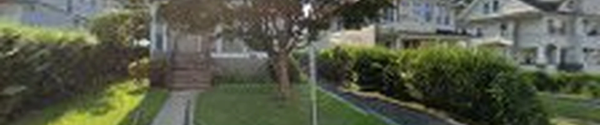 Skyview Tree Removal