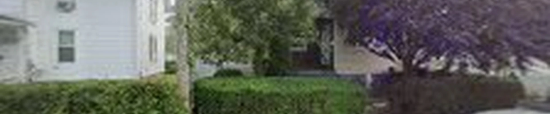 All American Tree & Turf LLC