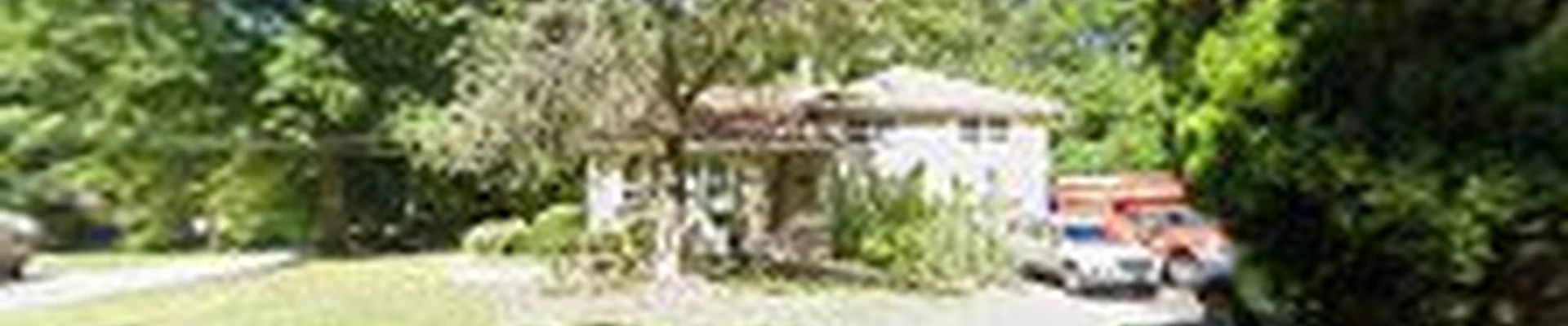 Pintillo tree service power washing