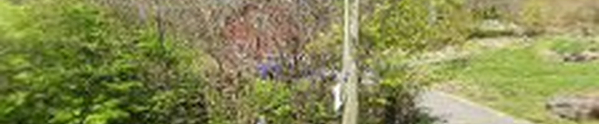 Fairfield Tree Service