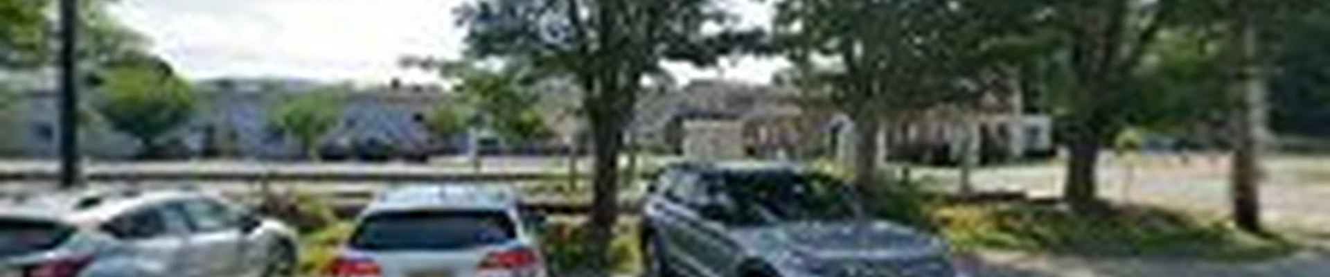 Al Watson Tree Services