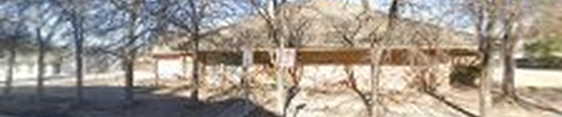 Arlington Tree Service & Stump Grinding