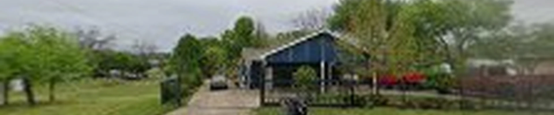 Alvarado Tree Trimming & Care