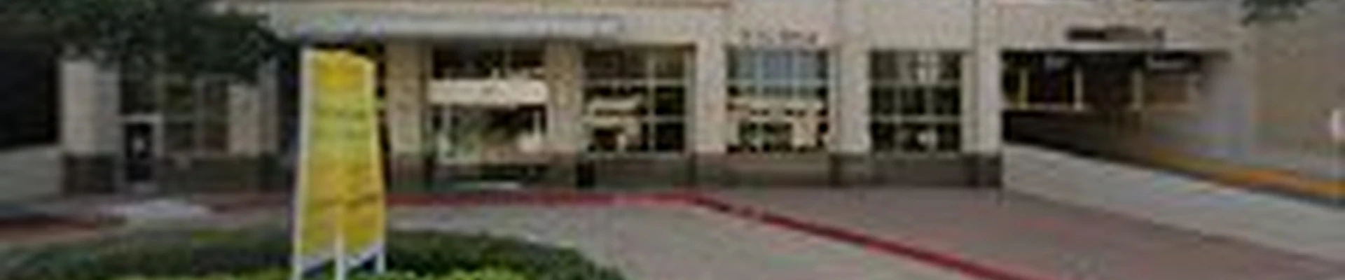 Green Pine Tree Services