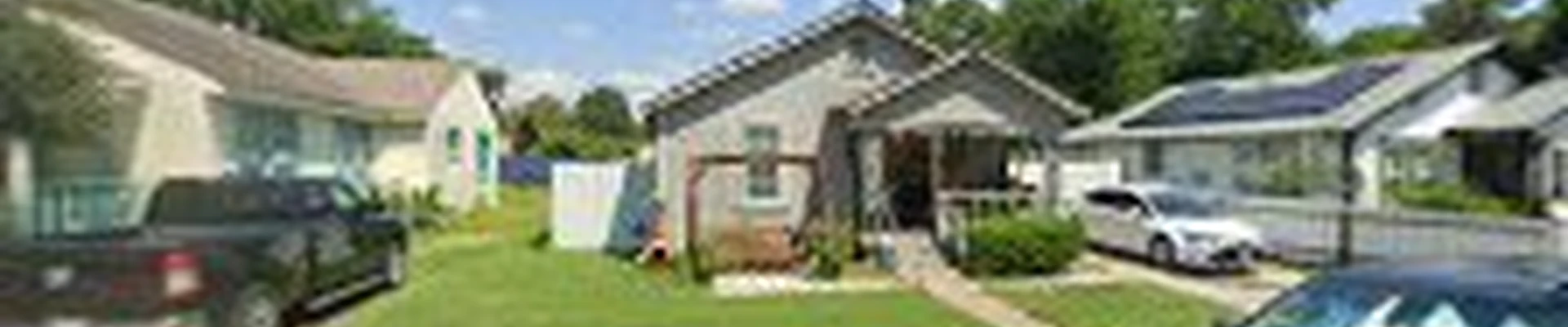 Live Oak Tree Service