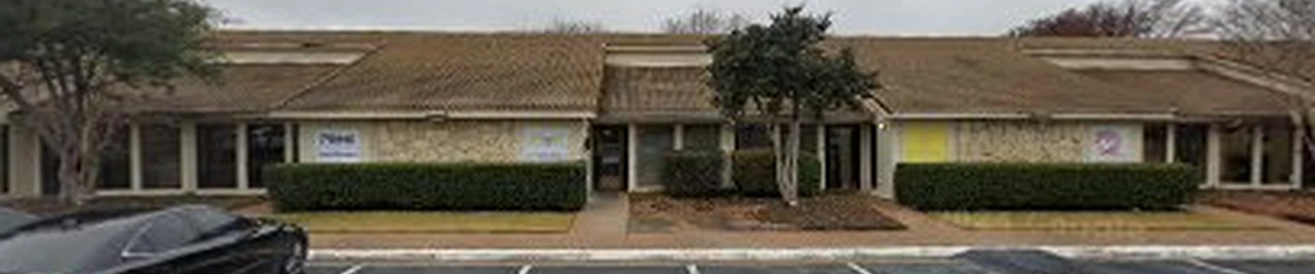 First Tree Service Arlington