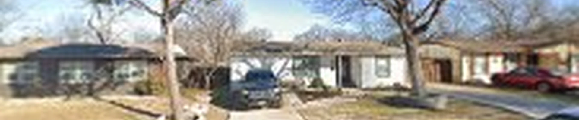 Red Monkeys tree service Arlington