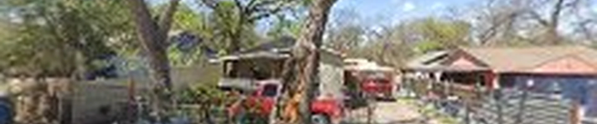 Marios tree service