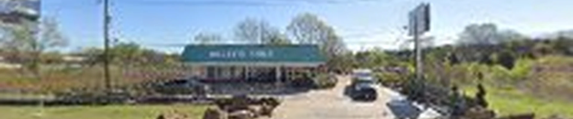 Nelly's Tree Co