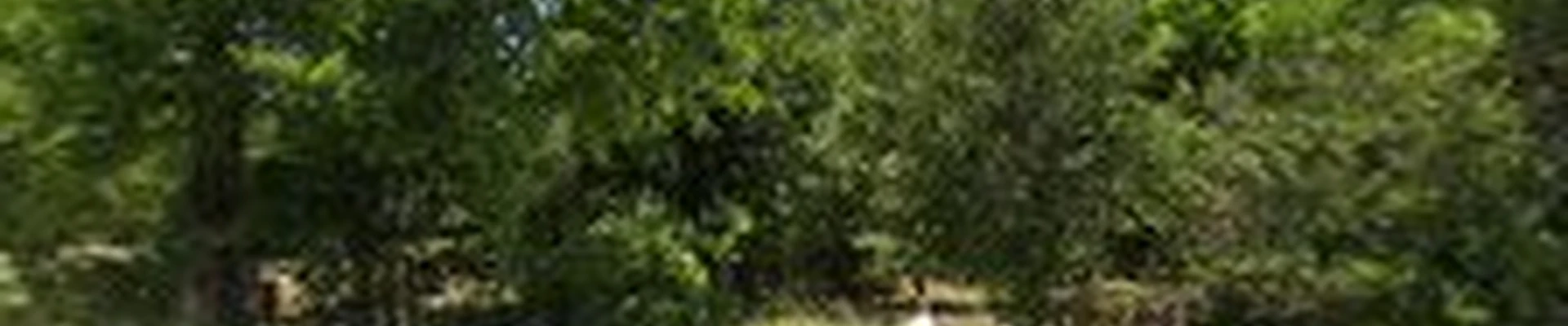Texas Pride Tree Service