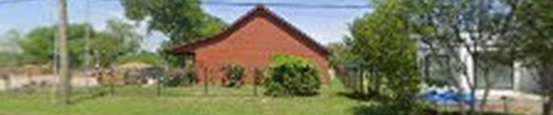 Lindsey Tree Services