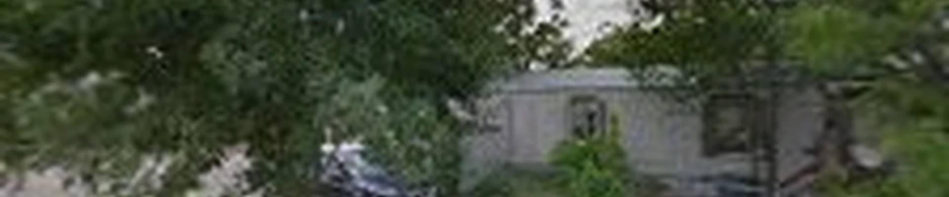 victor tree service