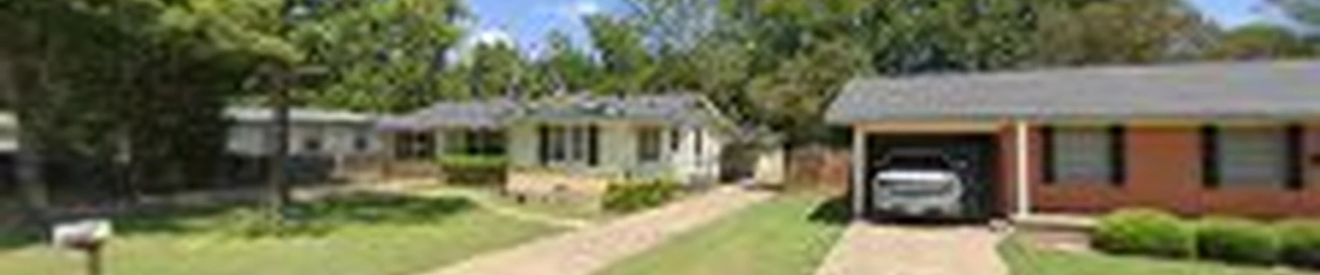 Arbor Pro Tree Care and Consulting Arborist