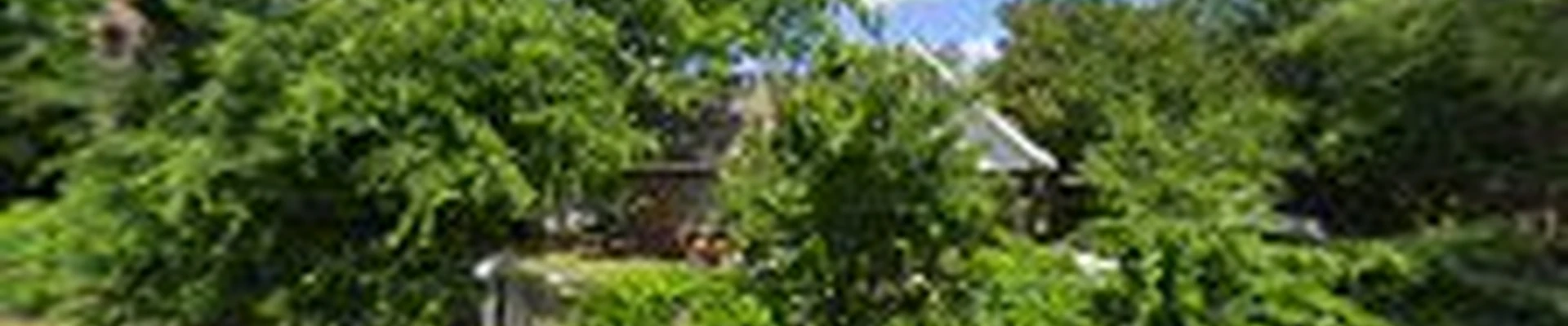 Charly and Sons Tree Service