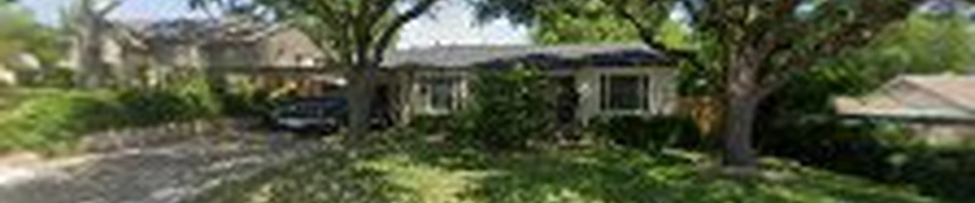 Care Green Tree Service & Removal Dallas