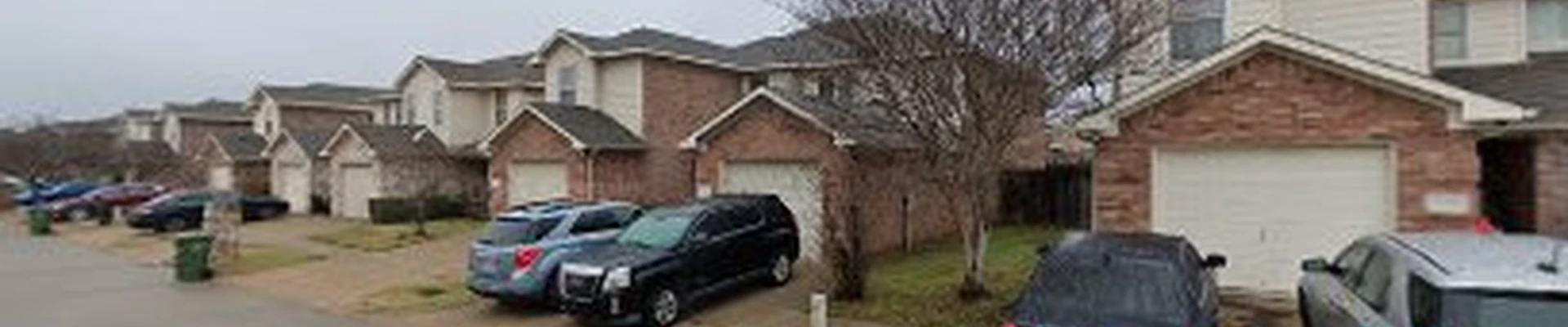 Green Tree Service of Arlington