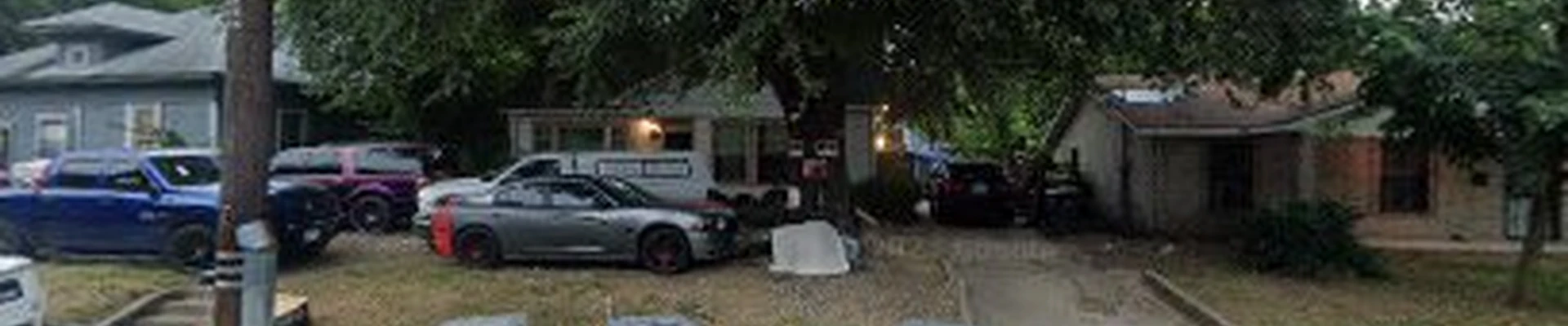BW Insect Control and Tree Care