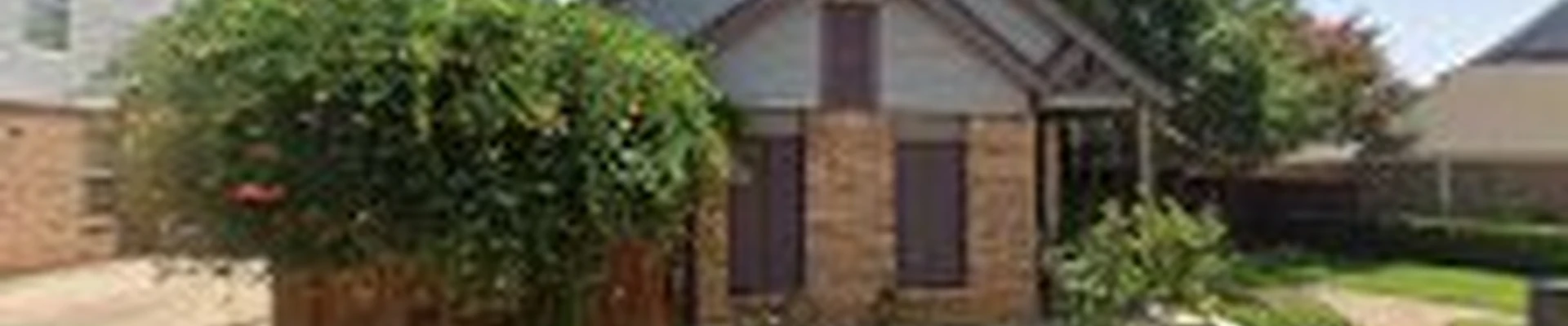 Javier Tree Services