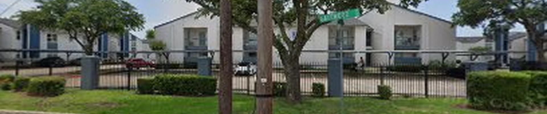 Pecan Tree Service