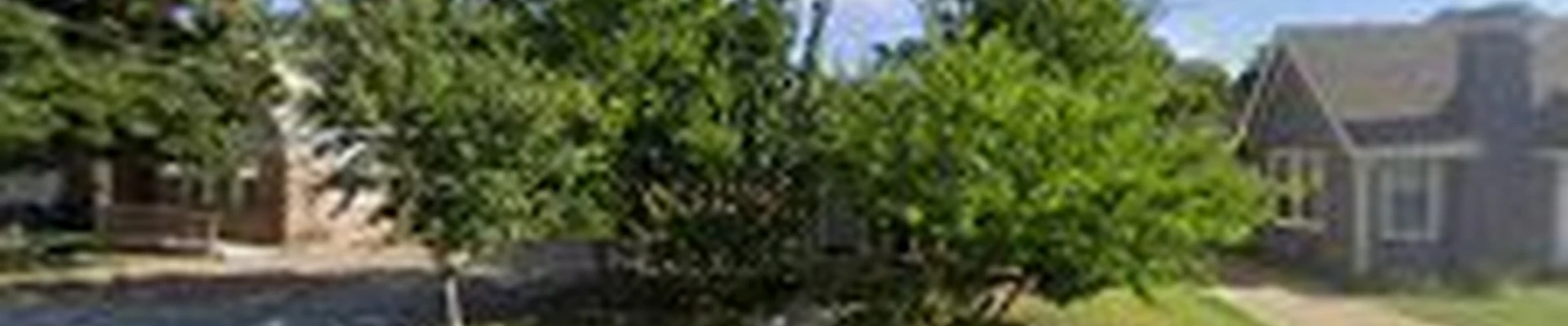 Servando. H Tree Service