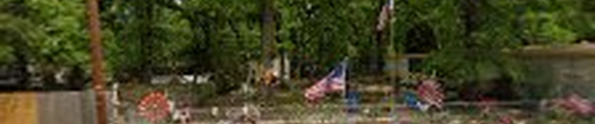 No Tree Too Big