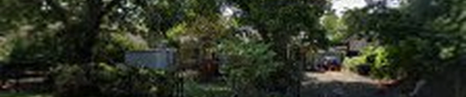 Five Star Tree Service
