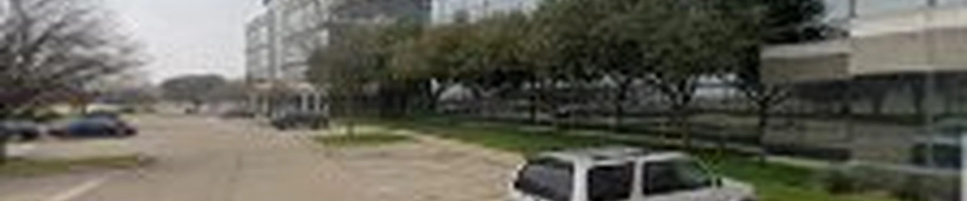 Texas Tree Transformations Irving