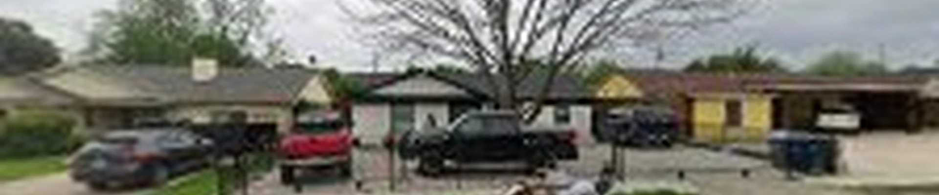 C.Diaz Pro Tree Services
