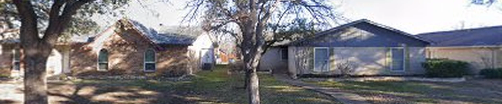 Miguel’s Dallas Tree Service.