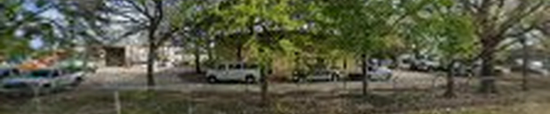 Arborilogical Services