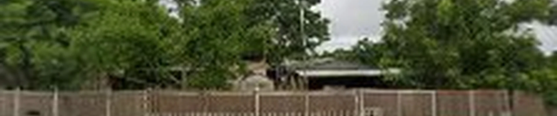 Mario's Stump Grinding and Tree Service LLC