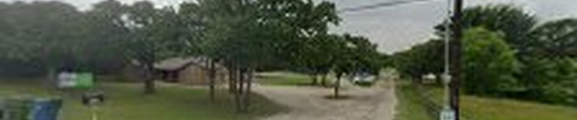 TreeNewal, Certified Arborist