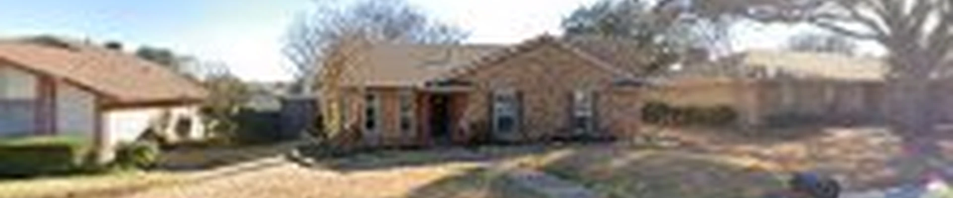 Experts Tree Service