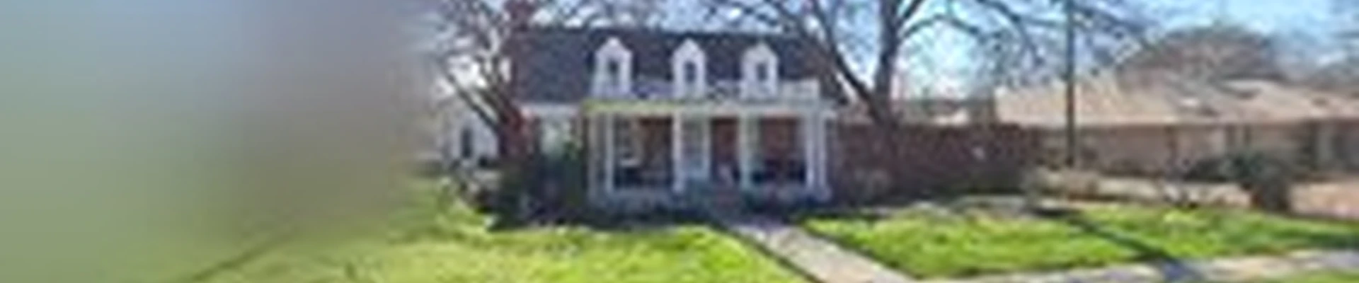 Green Tree Service of Plano