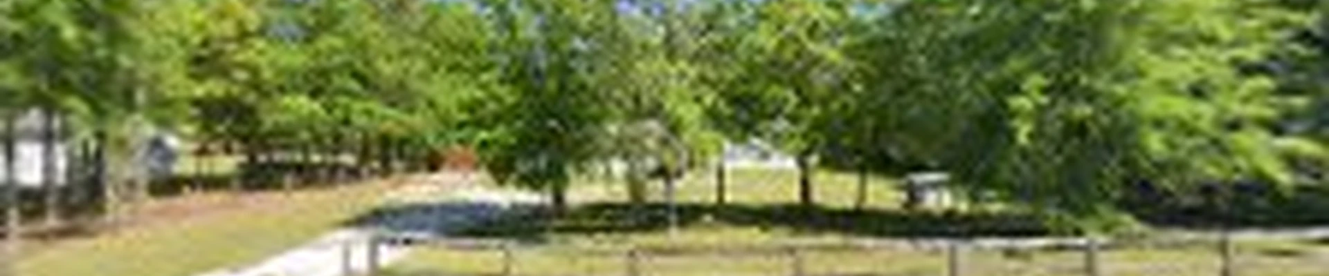 Northeast Florida Tree Surgeons LLC.