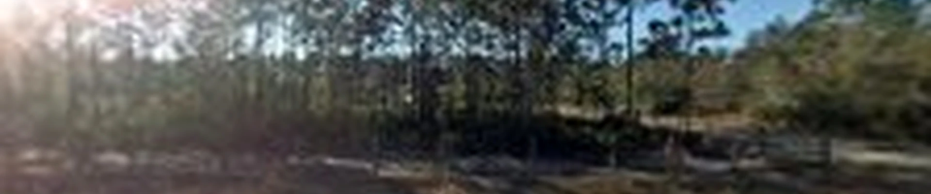 Family Tree and Tractor Services LLC