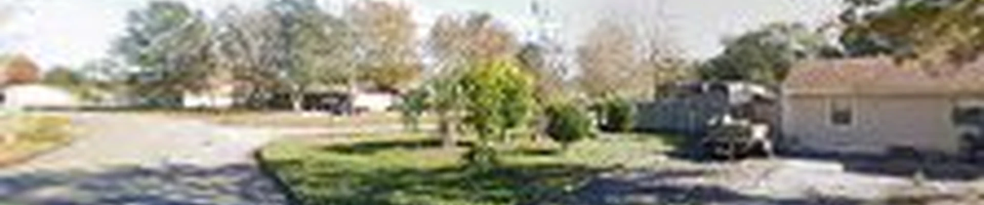 Top Notch Tree Experts