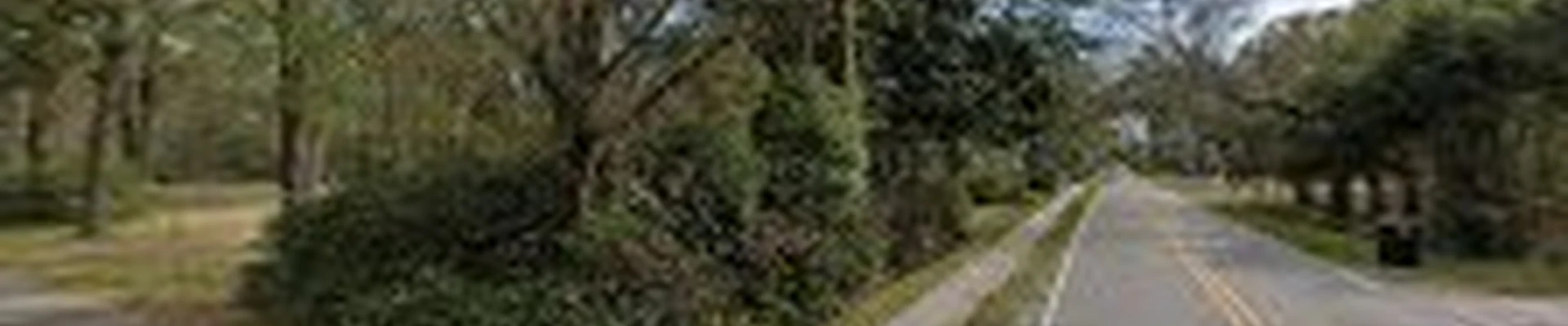 Hamilton Tree Service