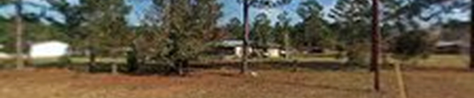 All American Tree Service & more LLC