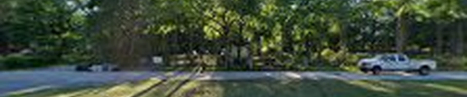 Shot's Straight Up Tree Service, LLC