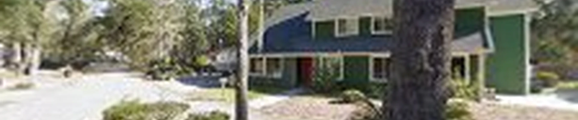 Austin Stone Tree Surgeons