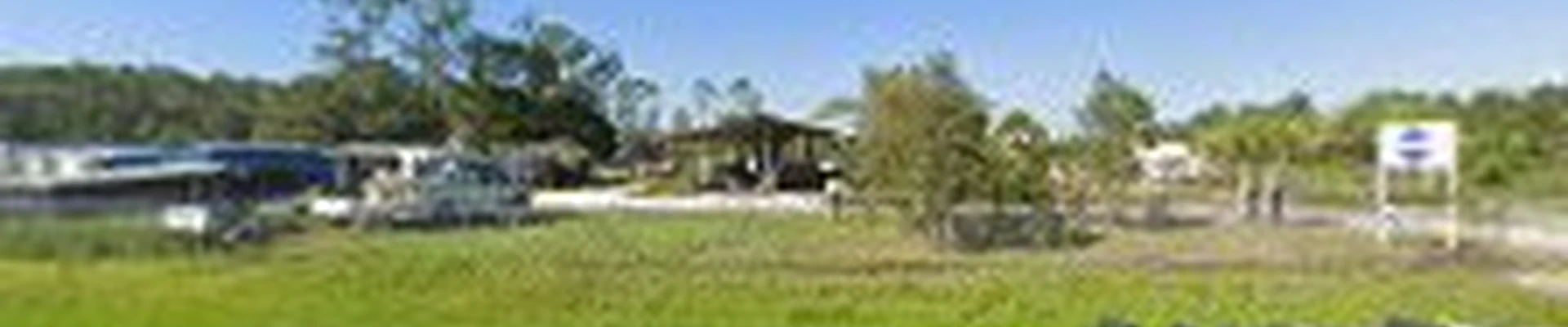 Florida's Tree Surgeons