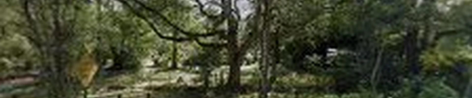 Wilson Family Tree Care, LLC