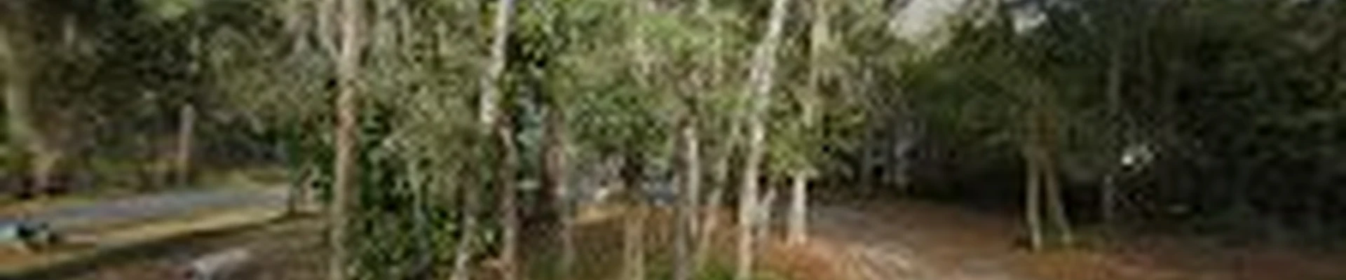 Ultimate Surfaces-Jacksonville