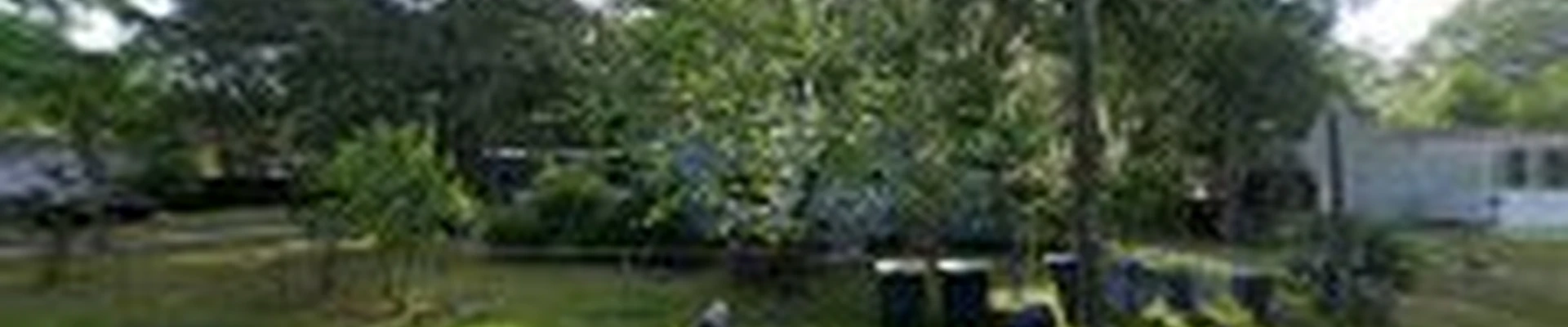 First Coast Tree