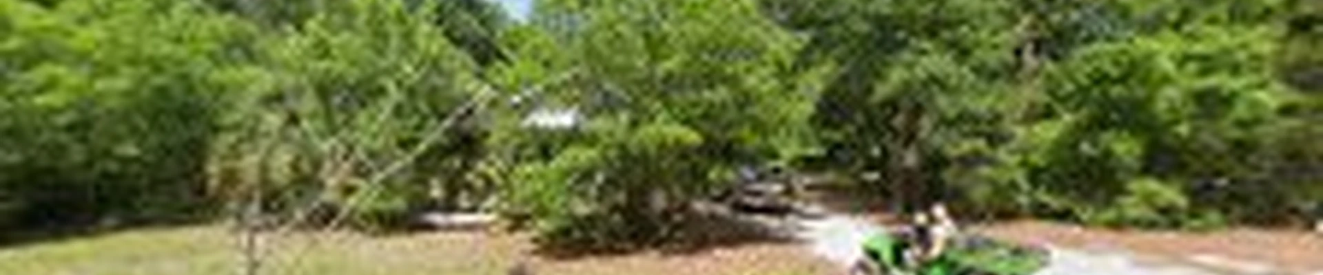 Bayard Tree Service LLC