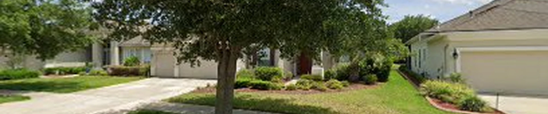 Talent Tree Company.