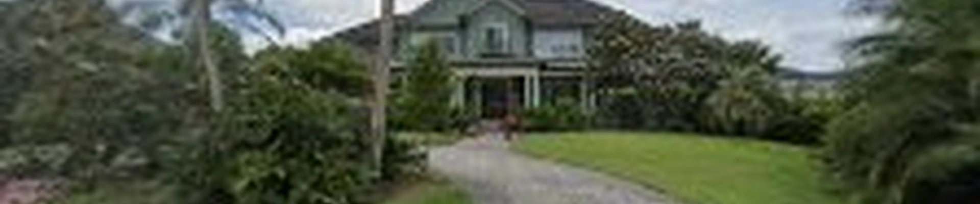 Tree Masters Inc